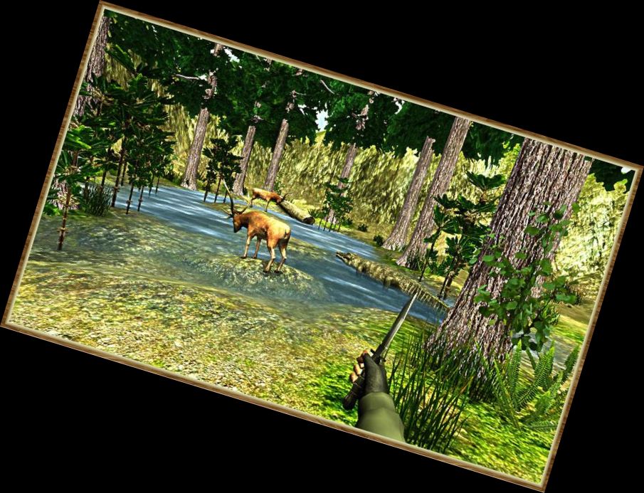 Wildlife Hunting Simulator Games