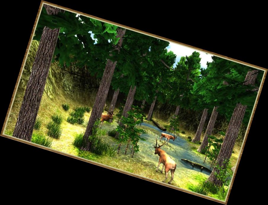 Wildlife Hunting Simulator Games