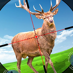 Deer Hunting Sniper Game Fun