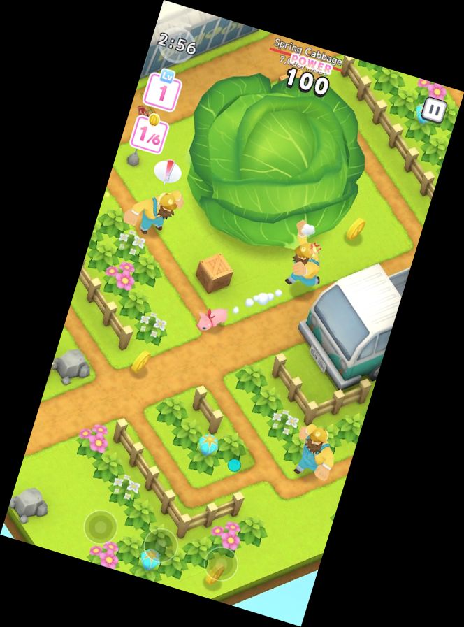 Голодные Свиньи（Ханг