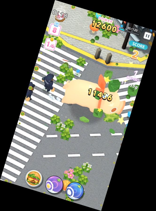 HUNGRIGE SCHWEINE（