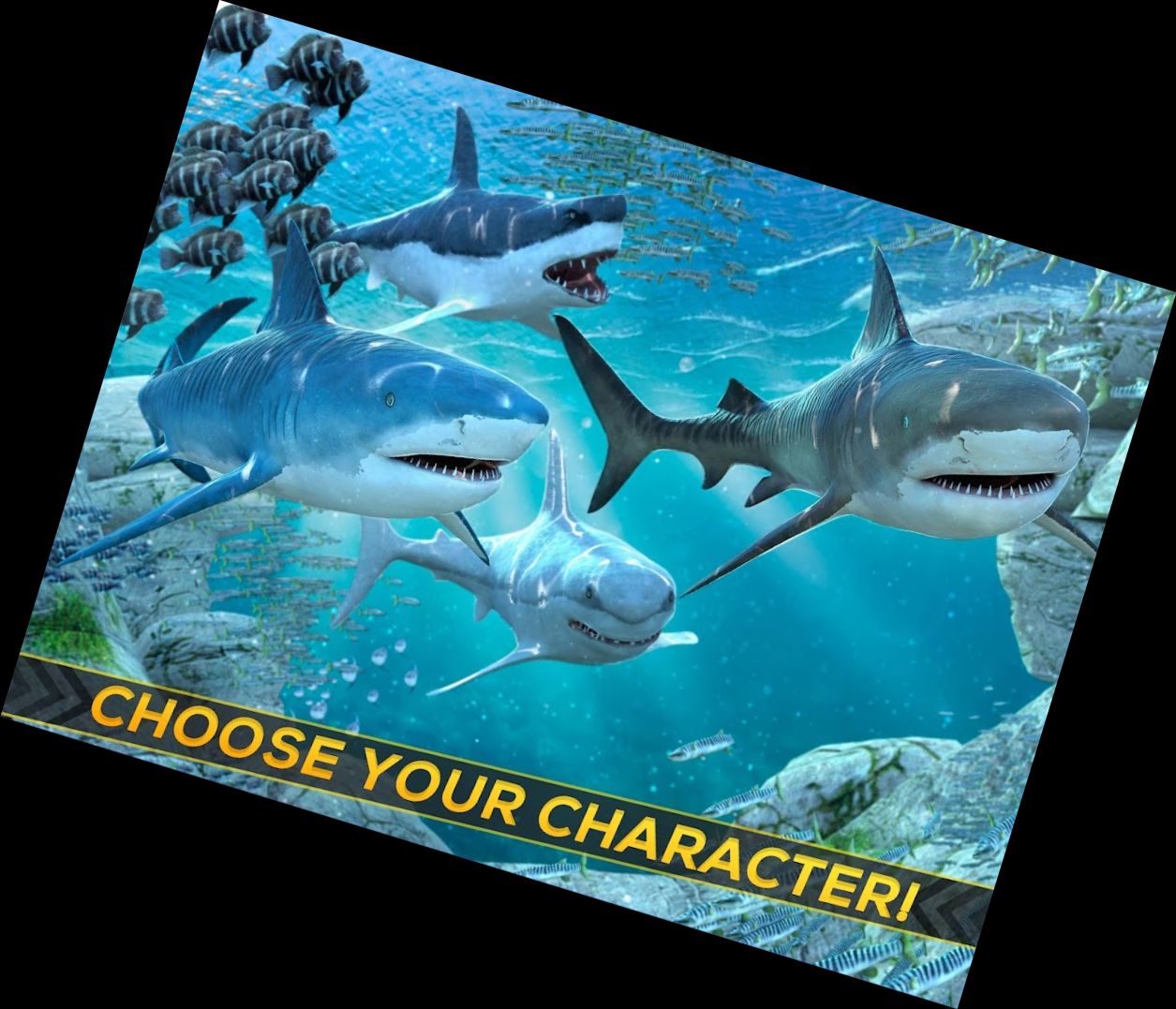 <think>
Okay, the user wants me to