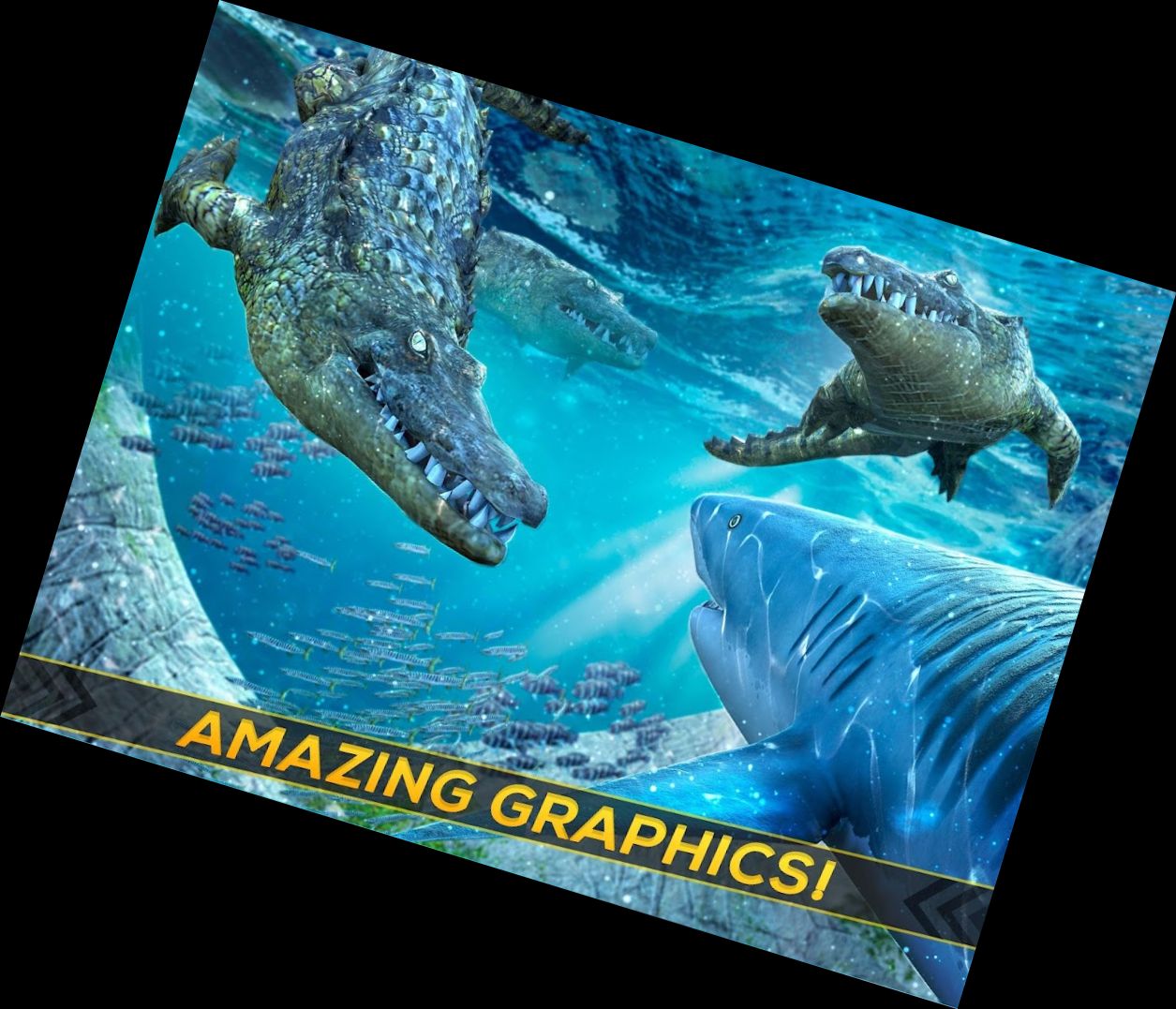 Hai & Krokodil Kampf