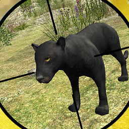 Wildes Panthera-Jäger Überleben