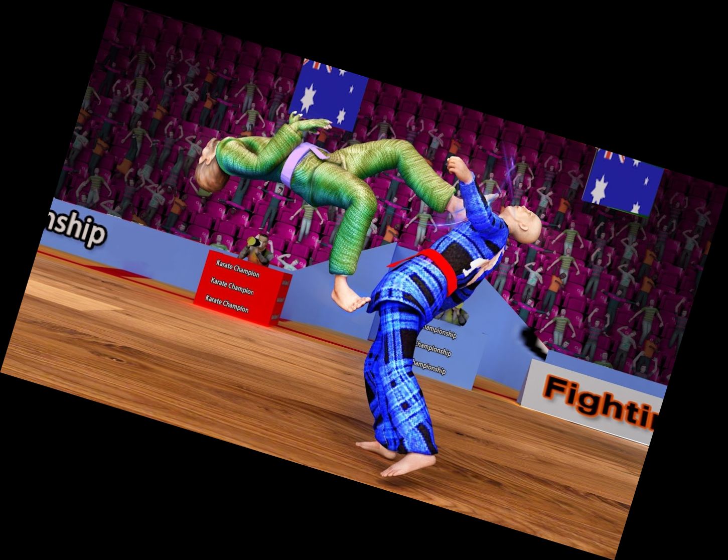Karate-König Finale Kampf Spiel