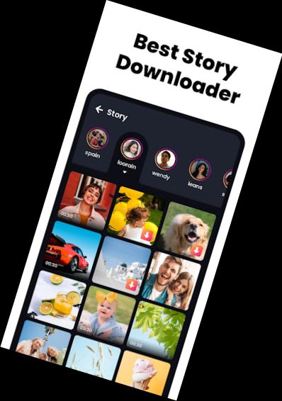 Alle Video Downloader & Player