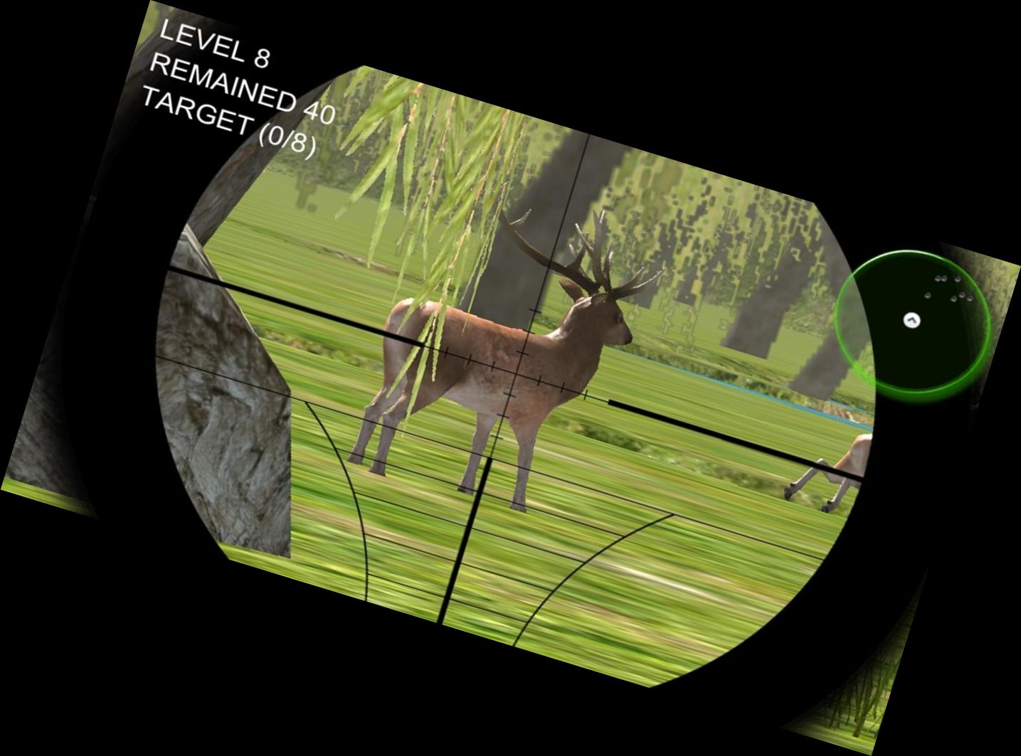 Hirschexperte Schütze