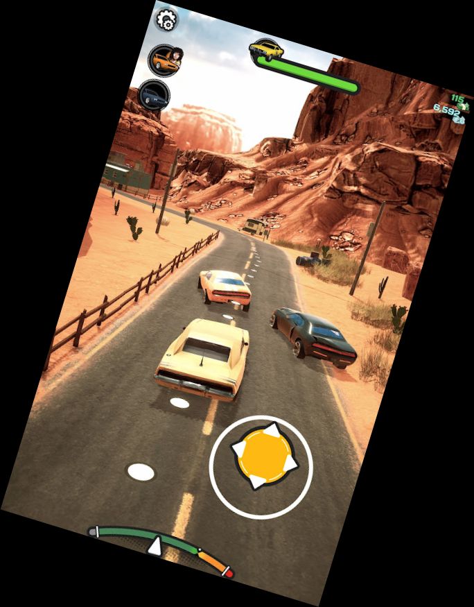 Пустельна гонка руй