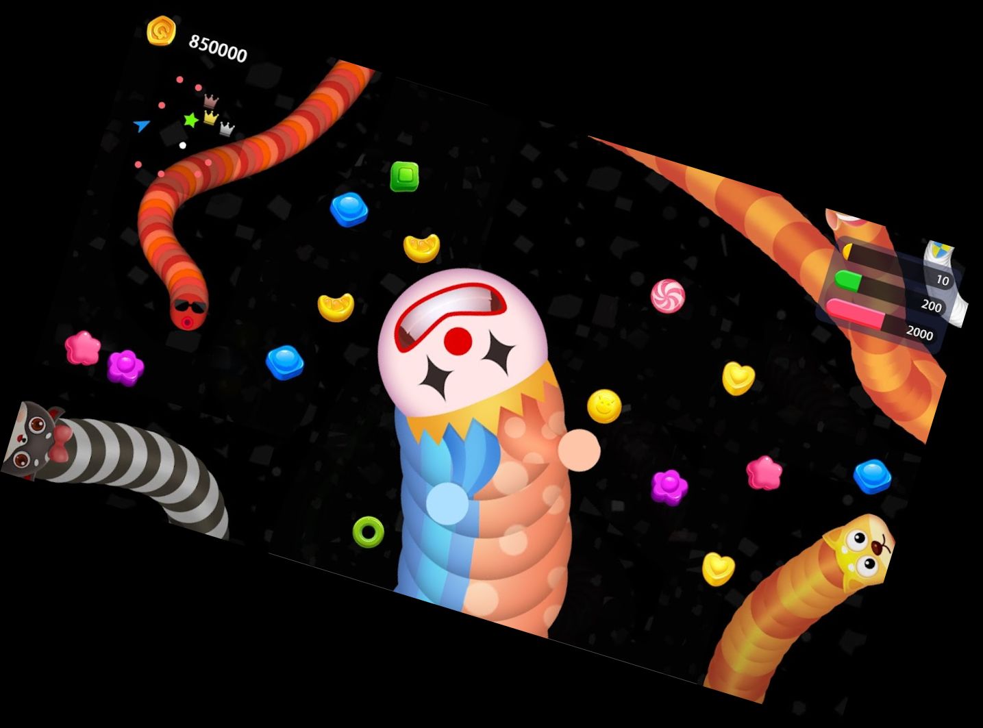 Wurm-Schlacht: Schlangen