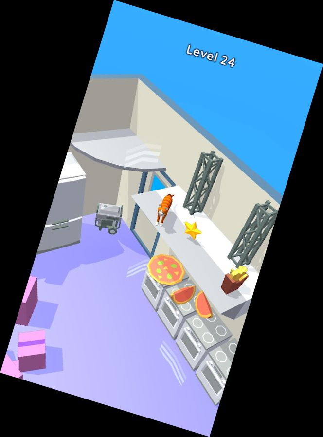 Sei eine Katze - Mach ein Chaos