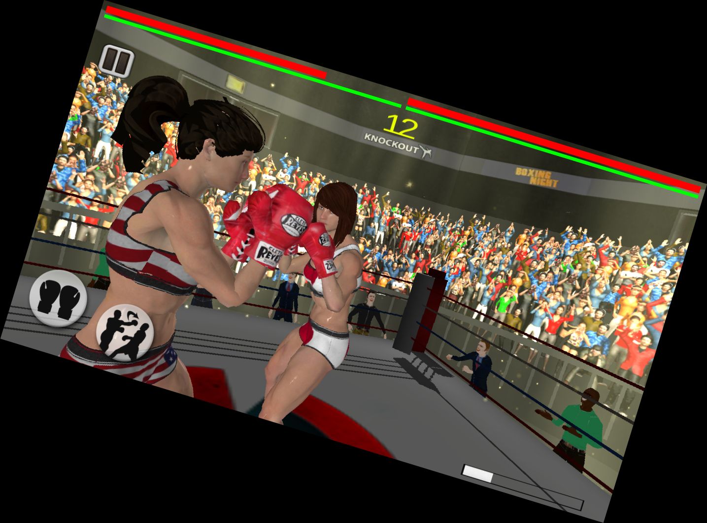 3D Female Boxing Champions